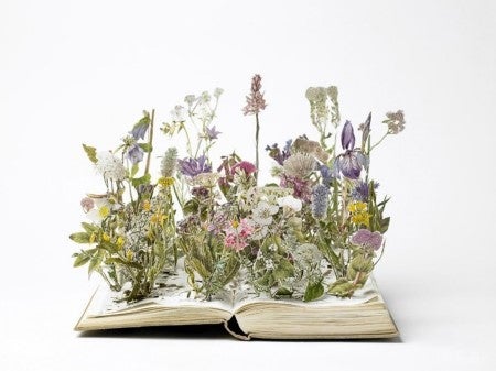 Flowers Growing from a Book