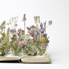 Flowers Growing from a Book